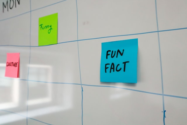 Why Better Planning Helps Small Teams Scale Faster